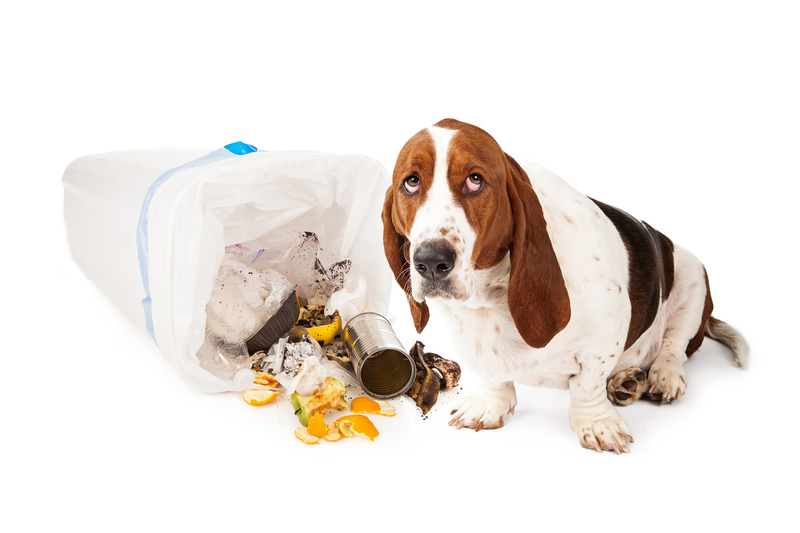 Important Information About Glass Recycling Efficiency